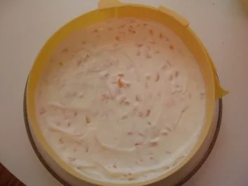 Rezept: TORTE: APRIKOSEN-FRISCHKÄSE-TORTE Bild Nr. 12 TORTE: APRIKOSEN-FRISCHKÄSE-TORTE - Rezept - Bild Nr. 12