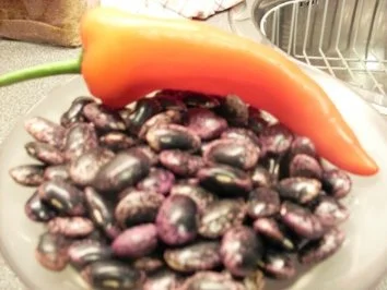 KÄFERBOHNENSTRUDEL MIT DILLSAUCE - Rezept - Bild Nr. 2