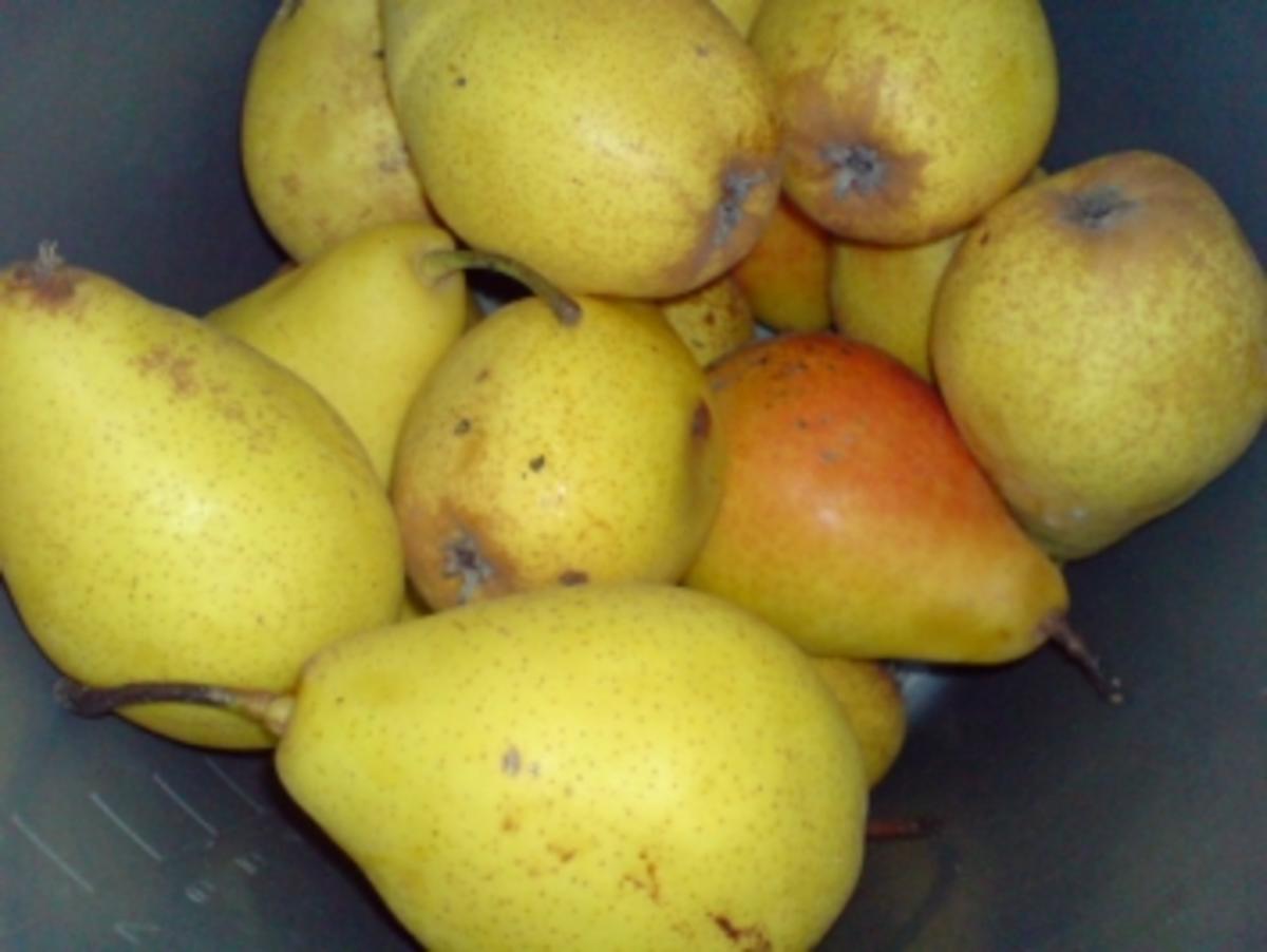 Apfel-Birnen-Saft - Rezept - Bild Nr. 2