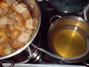 Rezept: Apfel-Birnen-Saft Bild Nr. 6 Apfel-Birnen-Saft - Rezept - Bild Nr. 6