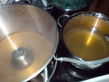 Rezept: Apfel-Birnen-Saft Bild Nr. 10 Apfel-Birnen-Saft - Rezept - Bild Nr. 10