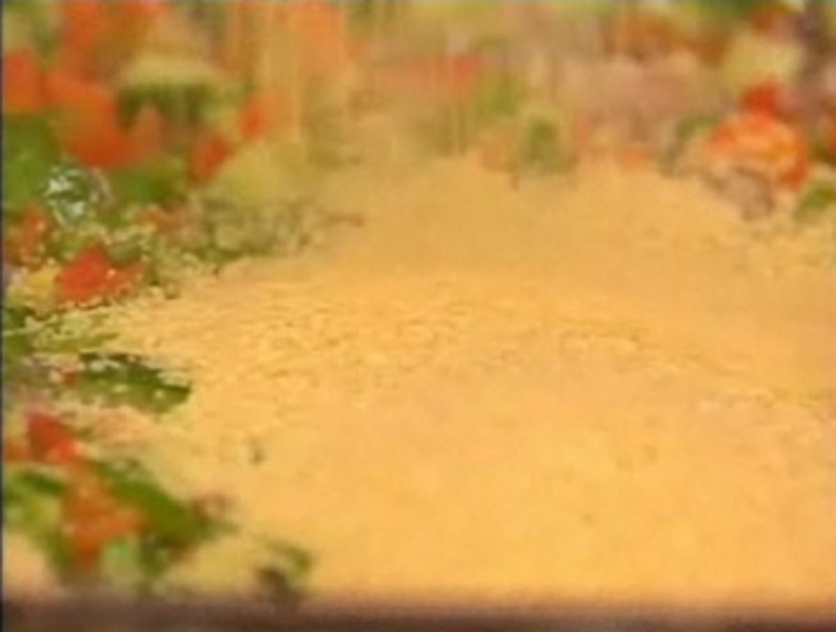 Bilder für Couscous mit Dörrpflaumenkompott und Nüsse - Rezept