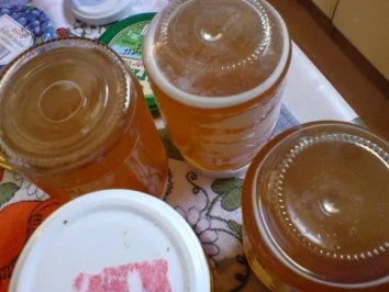 Apfel-Birnen-Gelee - Rezept - Bild Nr. 10