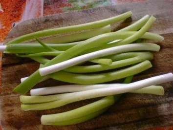 Rezept: Putengeschnetzeltes Bild Nr. 8 Putengeschnetzeltes - Rezept - Bild Nr. 8