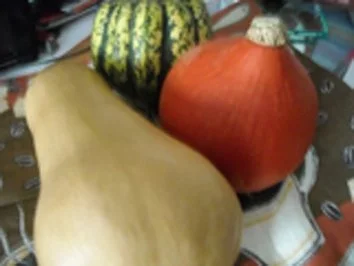 Rezept: Kürbiskuchen Bild Nr. 2 Kürbiskuchen - Rezept - Bild Nr. 2