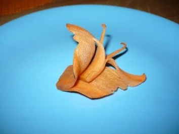 Aus der Raupe PETRA ist ein ...!!!! geworden .. - Rezept - Bild Nr. 3