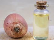 Zwiebeltee gegen Husten - Rezept - Bild Nr. 2
