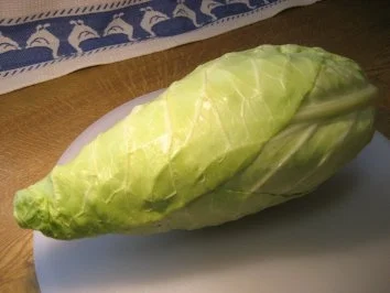 Rezept: Spitzkohl pur ... Bild Nr. 2 Spitzkohl pur ... - Rezept - Bild Nr. 2