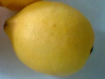 Sangria-Bowle - Rezept