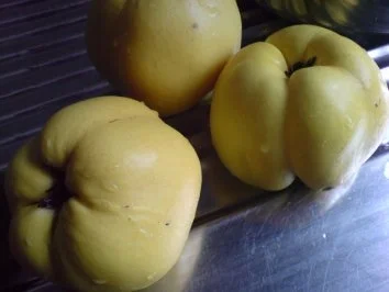 Rezept: Quittenmus Bild Nr. 6 Quittenmus - Rezept - Bild Nr. 6