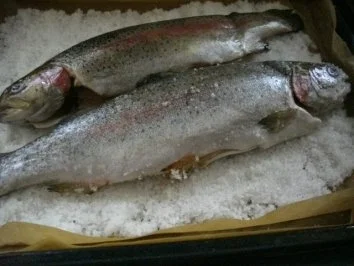 Saibling im Salzmantel - Rezept - Bild Nr. 2