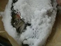 Saibling im Salzmantel - Rezept - Bild Nr. 4