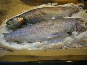Saibling im Salzmantel - Rezept - Bild Nr. 6