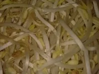 warmer Sojasprossensalat mit Mais - Rezept