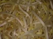 warmer Sojasprossensalat mit Mais - Rezept