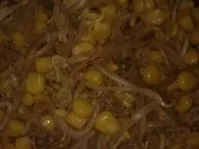 warmer Sojasprossensalat mit Mais - Rezept - Bild Nr. 6