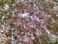 Mandelbutterkuchen - Rezept - Bild Nr. 2