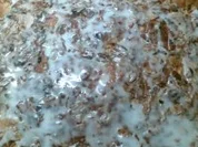 Mandelbutterkuchen - Rezept