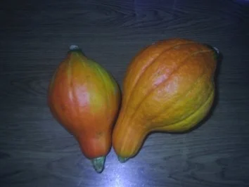 Suppe - Kürbissuppe - Rezept - Bild Nr. 2