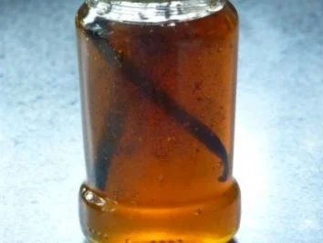 Vanille Honig - Rezept