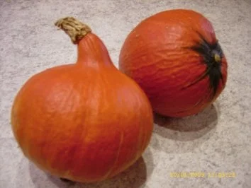 Hokkaido - Kürbis - Suppe - Rezept - Bild Nr. 2