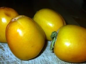 Vanille-Creme mit Ragout aus Sharon-Früchten - Rezept - Bild Nr. 6