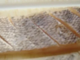 Rucolaspaghetti mit gebratenem Fischfilet und Pestoschaum. - Rezept