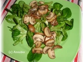 Salat - Feldsalat mit gebratenen Pilzen - Rezept