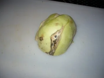 Gemüselasagne .......... Ingrid ..... - Rezept - Bild Nr. 4