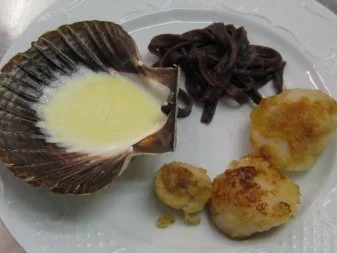 Jakobsmuscheln auf Rotweinbandnudeln mit Trüffelsoße - Rezept