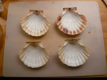 Vieiras al horno (Überbackene Jakobsmuscheln) - Rezept - Bild Nr. 8