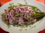 Brot mit Braten,Gurke,Zwiebel auf Senf - Rezept