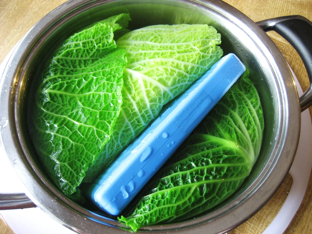 Gefülltes Kraut - Rezept von der Schwiegermutter aus Kassel - Rezept - Bild Nr. 5002