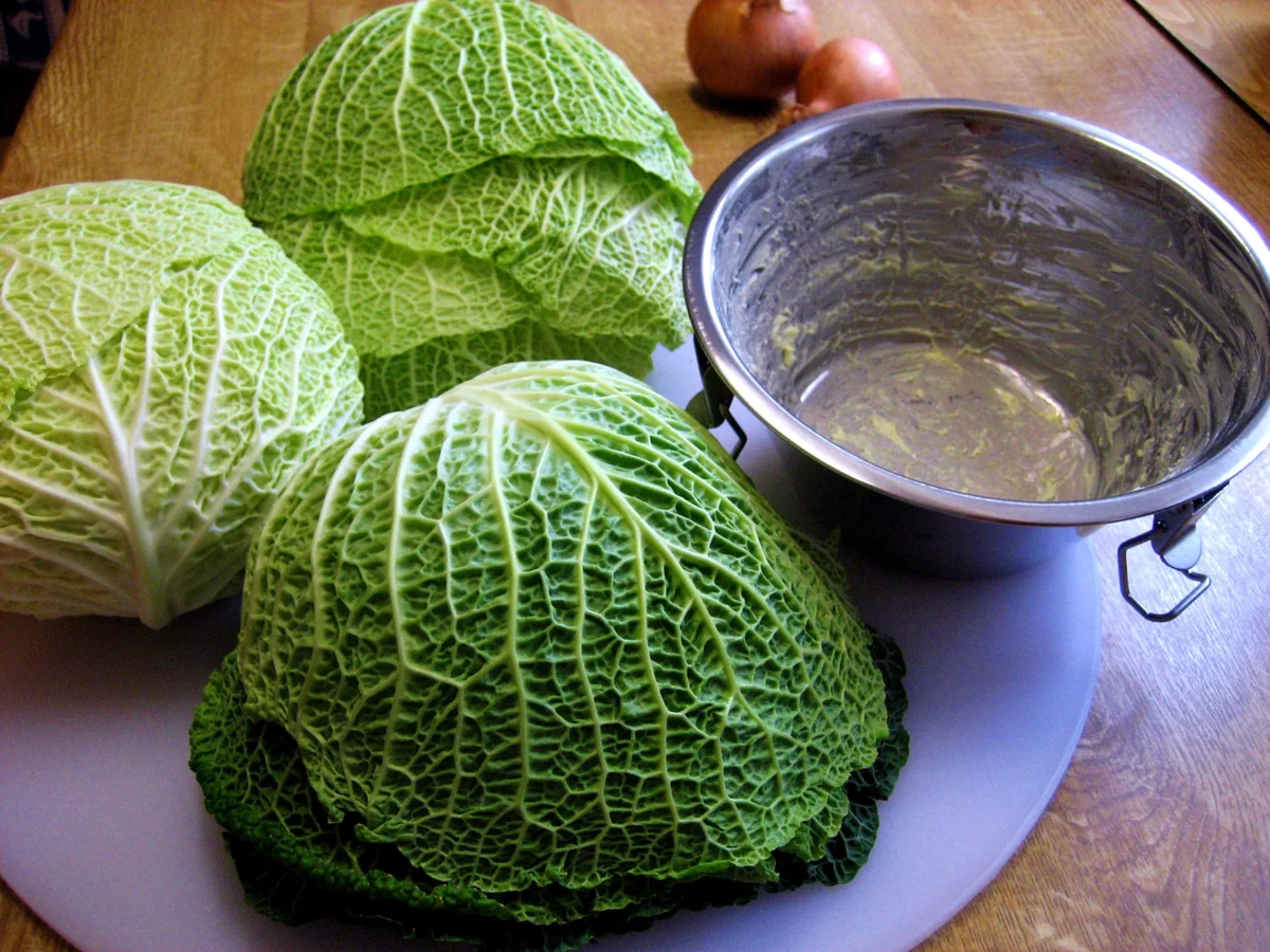 Gefülltes Kraut - Rezept von der Schwiegermutter aus Kassel - Rezept - Bild Nr. 5004
