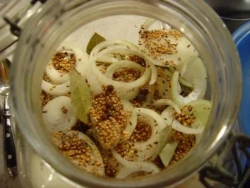 Salzheringe sauer eingelegt... - Rezept - Bild Nr. 6