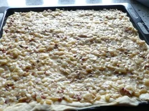 Speckzwiebelkuchen - Rezept - Bild Nr. 3