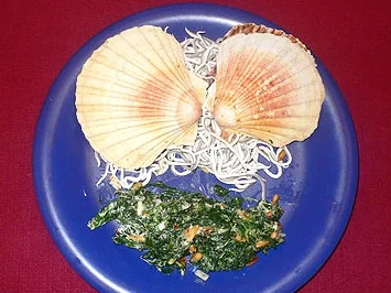 Rezept: Gratinierte Jakobsmuscheln mit Spinatsalat und Pinienkernen Gratinierte Jakobsmuscheln mit Spinatsalat und Pinienkernen - Rezept