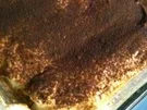 Tiramisu - Rezept