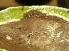 Schnelle Schokoladenmousse - Rezept