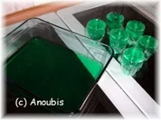 Kaltgetränk - Jelly Shot - Rezept