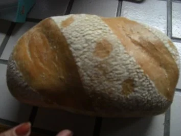 Gäste- Lachsröllchen (Foto) - Rezept - Bild Nr. 2