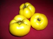 Quittenkuchen mit Streusel - Rezept