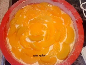 Pfirsich - Quark - Torte mit Baiser - Rezept - Bild Nr. 5