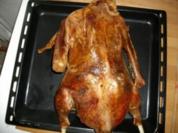 Gans - Rezept