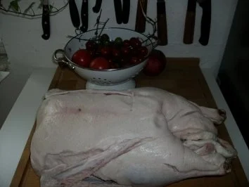 Rezept: Gans Bild Nr. 3 Gans - Rezept - Bild Nr. 3