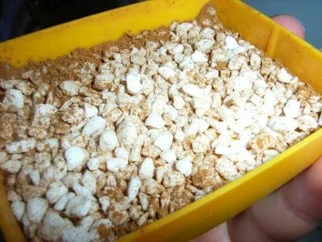 Tannenbaum - Kekse - Rezept - Bild Nr. 5