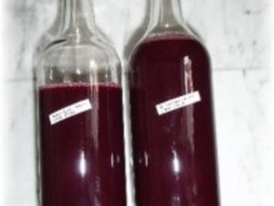 Rezept: Angesetzter - Schlehen-Wein-Likör Angesetzter - Schlehen-Wein-Likör - Rezept