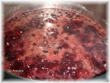 Rezept: Angesetzter - Schlehen-Wein-Likör Bild Nr. 3 Angesetzter - Schlehen-Wein-Likör - Rezept - Bild Nr. 3