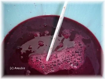 Rezept: Angesetzter - Schlehen-Wein-Likör Bild Nr. 5 Angesetzter - Schlehen-Wein-Likör - Rezept - Bild Nr. 5