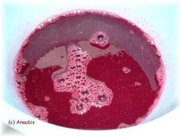 Rezept: Angesetzter - Schlehen-Wein-Likör Bild Nr. 6 Angesetzter - Schlehen-Wein-Likör - Rezept - Bild Nr. 6